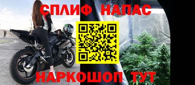 PSILOCYBIN Будённовск