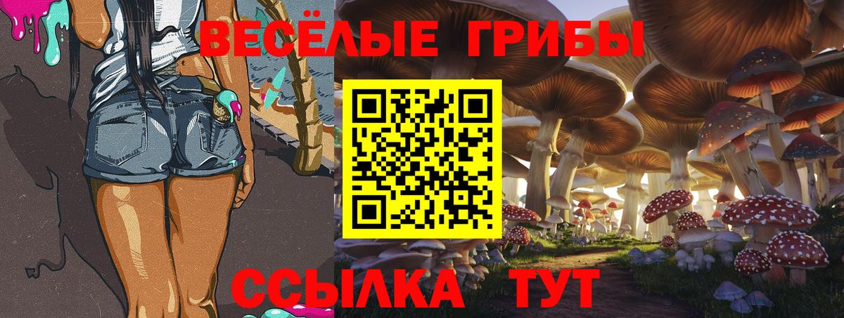 Галлюциногенные грибы мухоморы  Вход с VPN  Галлюциногенные грибы мухоморы  Красноармейск 